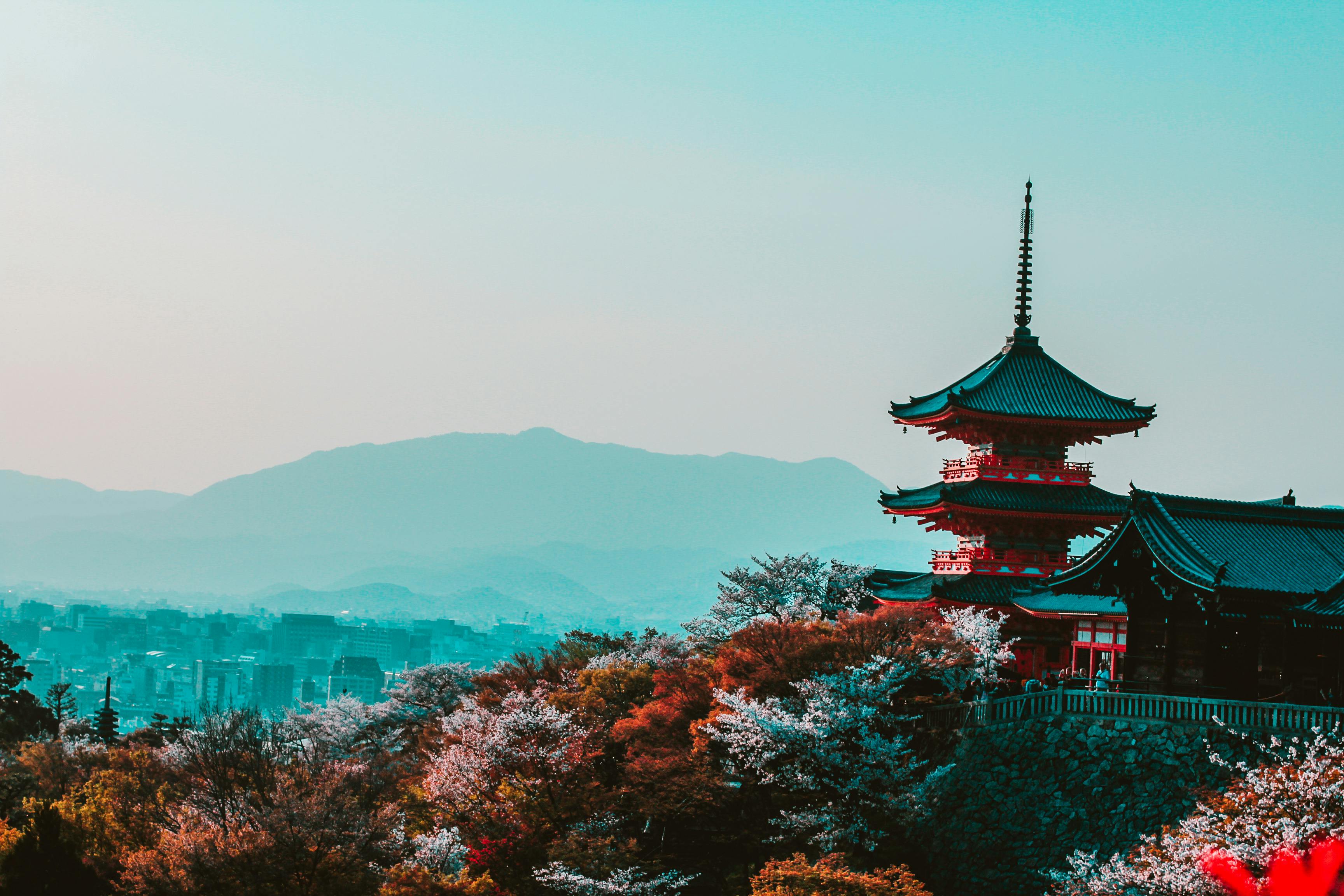 Kyoto in Bloom: Serene Gardens and Lingering Sakura