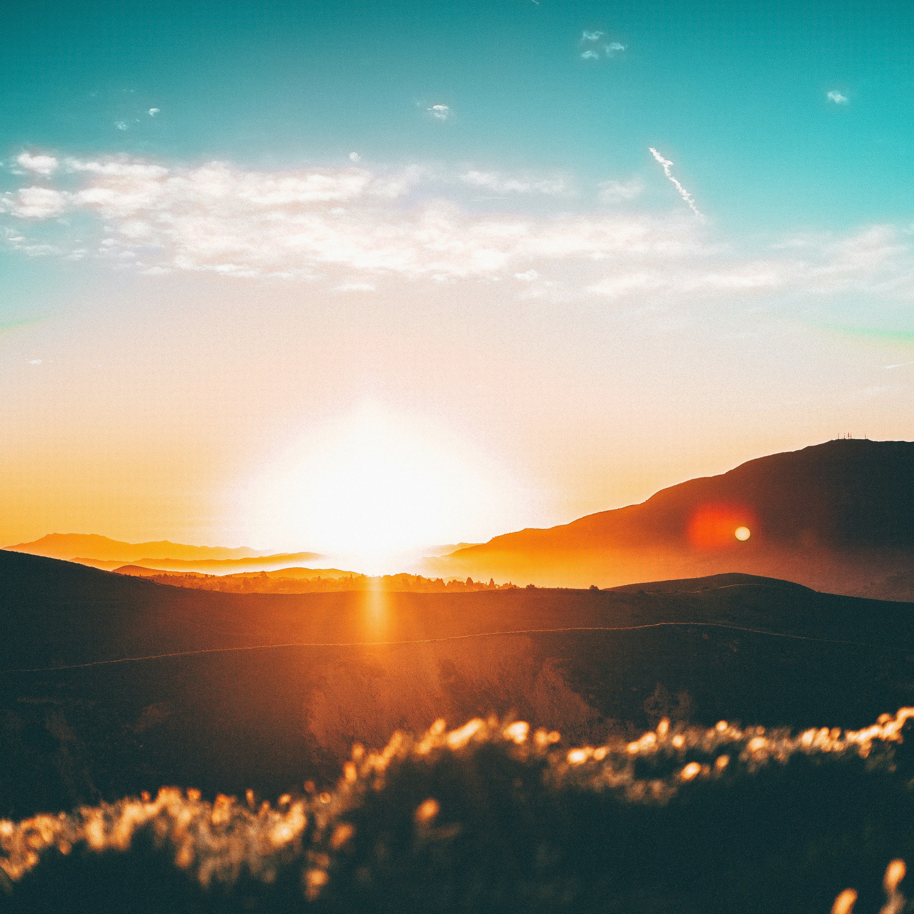 Sunset landscape